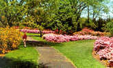 Azalea Gardens, In Warinanco Park Elizabeth, NEW JERSEY - Carte Petit Format, 2 Scans - Elizabeth