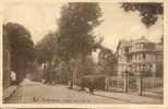 NEUFCHATEAU : Avenue De La Gare (2) - Imprimerie-Librairie-Pape Terie Petit, Neufchateau - Neufchâteau