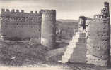 ALGERIE.TLEMCEN.RUINES DE LA TOUBINA  Editeur LL Collection Desbonnet - Tlemcen