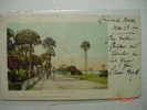 8259 DAYTONA FLORIDA  BEACH STREET   UNITED STATES USA     YEARS  1900  OTHERS IN MY STORE - Daytona