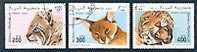 3 TIMBRES - FELINS - SOMALIE - OBLITERES - LYNX - CARACAL - PANTHERE - Somalia (1960-...)