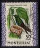 MONTSERRAT   Scott #  240  VF USED - Montserrat