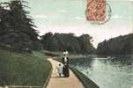 Postal PARIS, Rue Eradu 1908.  Bois De Bologne - 1903-60 Semeuse Lignée
