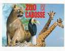 ZOO De La CABOSSE -  JURQUES  - 14 -  N° 1877 -  LIONNE, GIRAFES, ... - Girafes