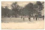 B2695 : BRUXELLES : Boulevard De Waterloo - Prachtstraßen, Boulevards