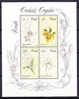 Venda 1981 Yv. BF 1 Flowers Orchids MNH - Venda