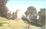 THE CASTLE. CHEPSTOW. - Monmouthshire