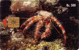 Télécarte à Puce VENEZUELA - ANIMAL - CRABE - CRAB Sea Food Chip Phonecard - KRABBE Telefonkarte - 21 - Venezuela