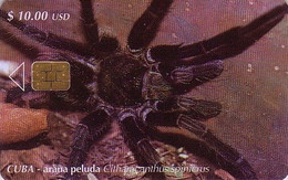 Télécarte à Puce Cuba - ANIMAL - ARAIGNEE - SPIDER Chip Phonecard - SPINNE Telefonkarte - 17 - Kuba