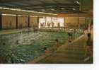 59.377/ HAZEBROUCK - La Piscine (cpm N° 4308) - Hazebrouck