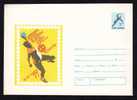 Romania 1977 Very Rare Cover  With  WHORLD CHAMPIONSHIP HANDBALL,unused. - Hand-Ball