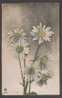 POSTCARD 1918 FROM ITALY TO UK(BRENTWOOD). FLOWERS DAISIES. CENSORED (6) (CW44) - Storia Postale