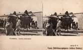 ALGERIE-BISKRA Atatich Palanquin-MB - Stereoscope Cards