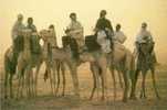 Niger , Cpm , Touaregs , Teguida N'Tessoumt. - Niger