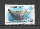 Bermude: 367 ** - Baleines