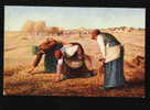 France Art Jean Baptiste Millet - Les Glaneuses GLEANERS HARVEST Die Ährenleserinnen Series 2102 SALON J.P.P Pc 20461 - Viehzucht