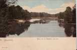 BELGIQUE : = 1900:BRUXELLES-Bois De La Cambre. Le Lac.Couleur,non écrite. - Foreste, Parchi, Giardini