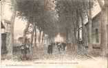 CLAMECY 1903 - Avenue De La Gare - Chute Des Feuilles - Clamecy