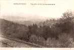 BORGOUMONT (La Gleize) Vue Prise Du Balcon Du Sanatorium. - Stoumont