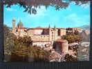 CPSM ITALIE-Urbino - Urbino