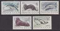 Russia 3882-6  **  FAUNA  MARINE LIFE - Unused Stamps