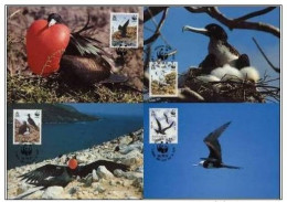 Ascension Island 1990 WWF W.W.F. Frigatebird Bird Set X4 Maximum Cards Fauna Birds - Maximumkarten