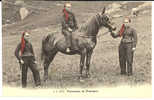 CHAMPERY - Paysannes Au Foulard Rouge - Cheval - Champéry