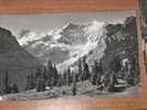 GRINDELWALD BUSSALP 1956 PICCOLA BN VG                                QUI ENTRATE... - Grindelwald