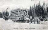 CANADA - DRAWING IN LOGS - Prince Albert Sask - Other & Unclassified