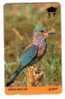 Oman - Indian Roller - Bird - Vogel - 8OMNA - Oman