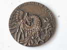 Federation Hospitaliere De France Bronze 1971 - Obj. 'Remember Of'