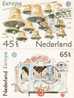 NETHERLANDS 1981 EUROPA CEPT MAXIMUMCARD - 1981