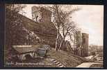 Early Postcard Boizewaldesthorne & Water Tower Chester Cheshire - Ref 529 - Chester