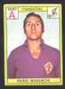 RACCOLTA FIGURINE PANINI. CAMPIONATO DI  CALCIO 1968-69 MARASCHI -  FIORENTINA - Andere & Zonder Classificatie