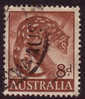 1959-1962 - Australian Animals 8d TIGER CAT Stamp FU - Oblitérés