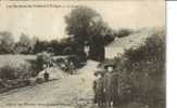 Leernes  Les Environs De Fontaine L'Evêque.  La Forêt. - Fontaine-l'Evêque