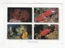 MALDIVES -  Gorgonian Sea Fans  Octocorallia And Squirrelfish ( Holocentridae) - 4 Vues - N°  Ma  66 - Vissen & Schaaldieren
