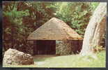 CANADA - Old Chrome Postcard - Shielding Hut, Cape Breton Highlands, Nova Scotia - Cape Breton