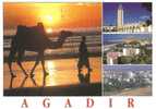 CP MAROC AGADIR DIVERS ASPECTS MULTIVUE - Agadir