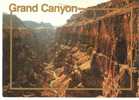 CP ETATS UNIS GRAND CANYON IMAX THEATRE (TRACES DE PAPIER COLLANT) - Grand Canyon