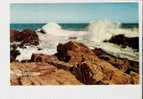 Breaking Surf On Sun Warmed Rocks Along The Main Coast - Altri & Non Classificati