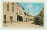 CP Monclar De Quercy - Avenue De Montauban - Montclar De Quercy