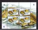 Tortugas Tortues Marine Reptiles Batraciens WWF Faune Animals Souvenir Sheet Bloc Saint-Thomas Et Principe Sp1483 - Tartarughe