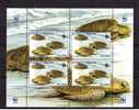 Tortugas Tortues Marine Reptiles Batraciens WWF Faune Animals Souvenir Sheet Bloc Saint-Thomas Et Principe Sp1485 - Tortues