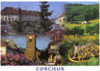 Carte Postale 88. Corcieux  Trés Beau Plan - Corcieux