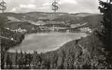 TITISEE Schwarwald : Panorama 1961 - Titisee-Neustadt