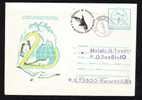 Romania 1988 Enteire Postal Stationery,Polar,baleines Obliteration Concordante!! ,cover,very Rar. - Whales