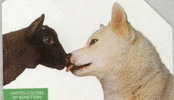 # ITALY 141 BENETTON (30.06.93) Wolf 5000  -animal- Tres Bon Etat - Public Practical Advertising
