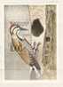 SIERRA LEONE  Faune Oiseaux      (1)  BF 188** - Piciformes (pájaros Carpinteros)