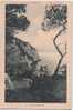 D - CARTE POSTALE - 83 - ST CYR SUR MER - UNE CALANQUE - - Saint-Cyr-sur-Mer